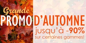 site_fallsale2016_fr