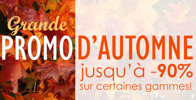site_fallsale2016_fr